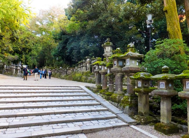 春日大社に行きます