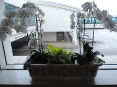 女子大生の女の子達に混じりながらの
快適なフライトでした〜
いらっしゃいましたＯ☆ＫＩ☆ＮＡ☆ＷＡ〜〜〜〜