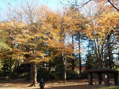 さて、西の池の端（都道とぶつかるあたり）から南側にちょっと廻り込み、稲荷諏訪神社のあたりの森を見てみる。
