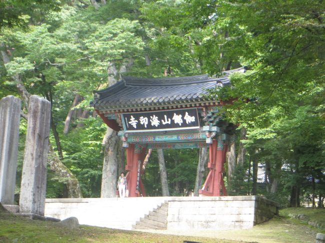 韓国　海印寺　参拝記念　木版 海印寺｜大邱(安東・大邱・慶尚道)の観光スポット｜韓国旅行