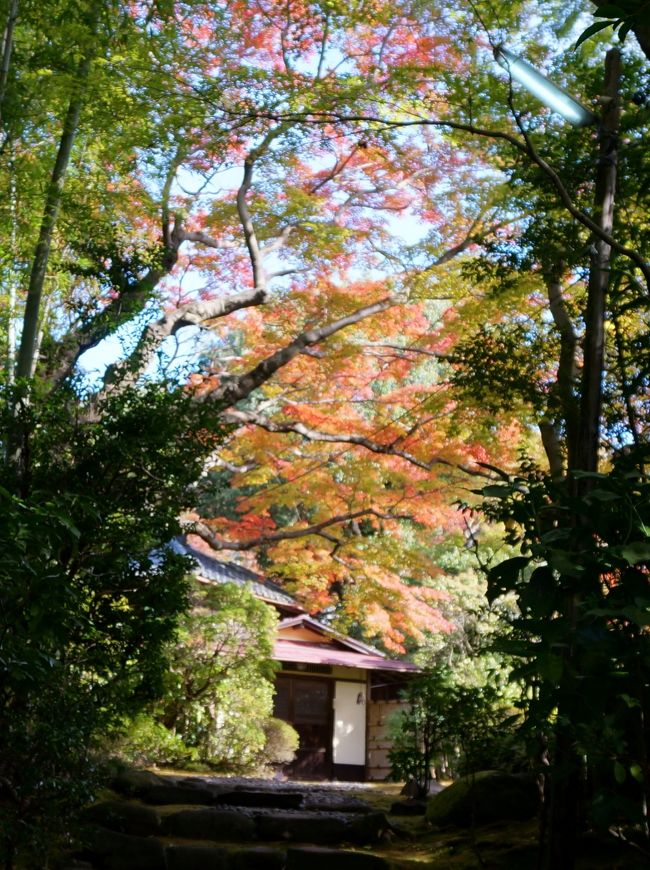 共寿亭から少し下った処に、紅葉に囲まれた素敵な家がありました。