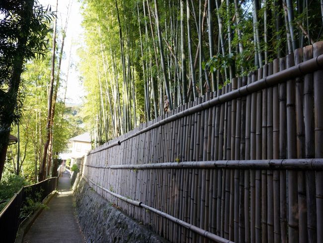 竹の小径を通り、松永記念館に向かいます。
