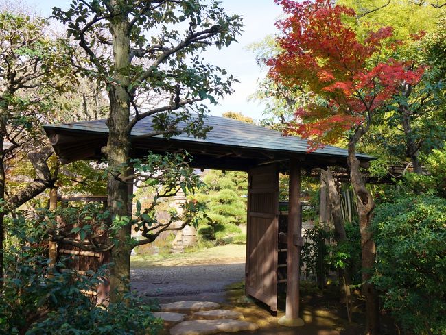 茶室に設けられた門