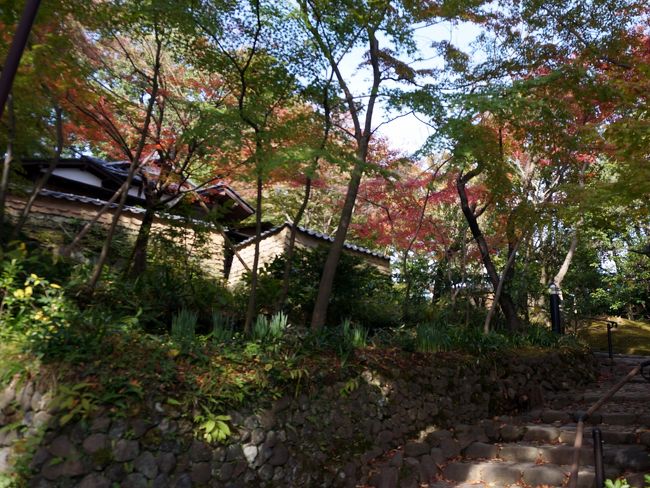 それでは、隠居所の老欅荘に向かいましょう。