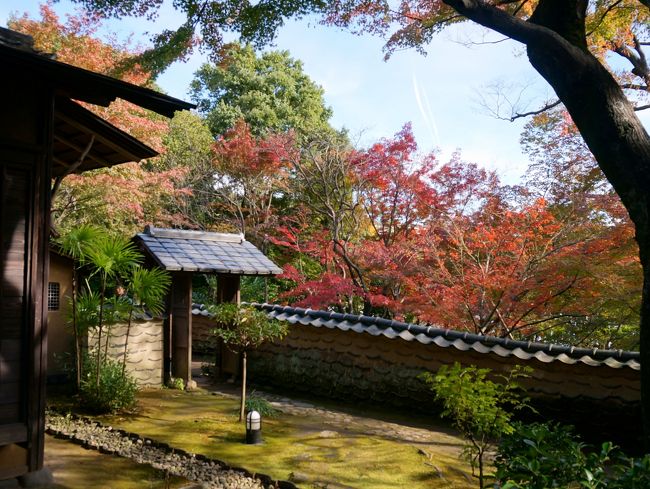 老欅荘内から見た処。