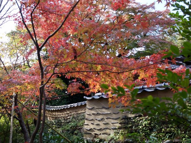 それでは老欅荘に別れを告げます。