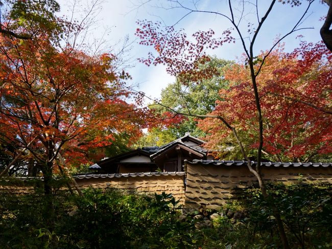 門外から振り返ります。