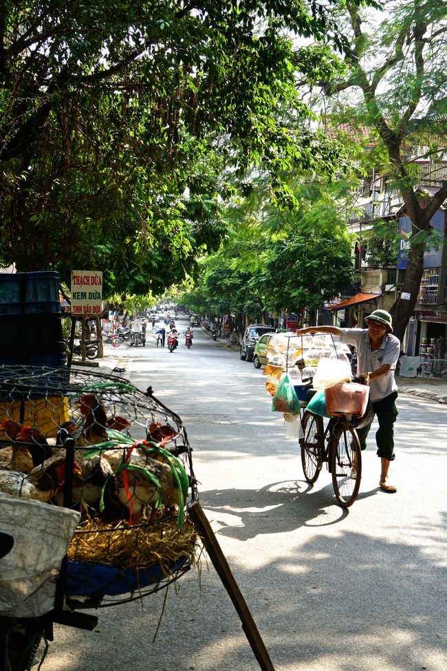 モーターバイクタクシーはいないかと<br />探してみたが、、、、