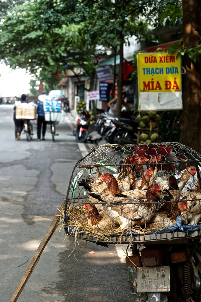 奥に有るココナッツの店のおやじが<br />連れて行ってくれることになりました（ホッ）<br />＄２で交渉<br /><br />こんな展開になるとは<br />こんなことだったら初めからドンスアン市場から<br />モーターバイクタクシーに乗れば良かったと反省<br />