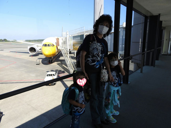 あれ？<br />LCCだからタラップなしで飛行機に乗り込むんだとウキウキしてたのに、普通のレガシーキャリアと同じだ…。<br />ちょっとガッカリでした。