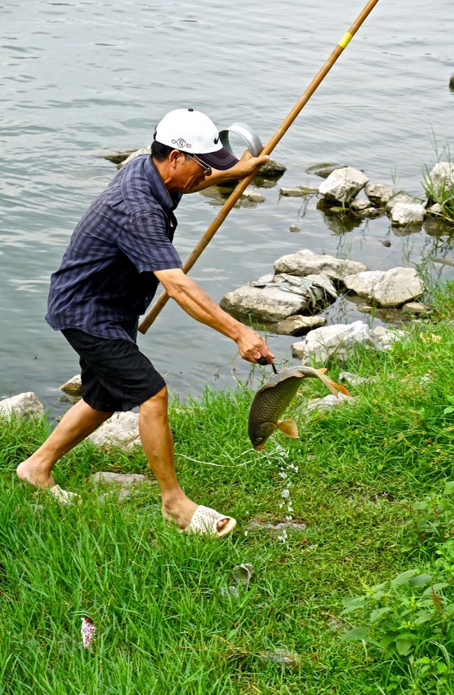 おぉ<br />夕食おかずGet