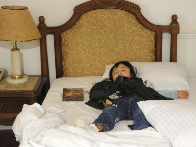 故宮博物院で買ったDVD。