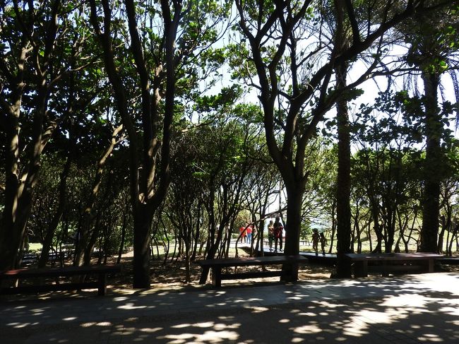 ここに来るときは晴れていますように…、と願っていたものの、猛烈な暑さ！<br />この木陰の道は途中までしかありません。<br />私も母もついに体調が悪くなり、歩けなくなってベンチで休むことにしました。<br />子供たちはうれしくて駆けずり回る…。<br /><br />そういえば、日本人は２人の若い女の子しか見なかった。<br />ほとんど大陸の人。ちょいちょい韓国の人でした。<br /><br />で、ビックリした大陸の人の行為…。<br />私たちが座ってた向かい側のベンチの横で、おじさんがいきなりズボンとパンツを下ろし始めた！<br />あまりにビックリして、そのままガン見してしまった私と母。<br />次に何が起こったか…。<br /><br />しゃがんだと思った次の瞬間、大量の下痢噴射！！<br />えーーーーーーーっ！！なにやってるのーーーーーーー！！！<br />普通に目の前にはたくさんの観光客が行き渡っている目の前で。<br />この状況でやるか？！<br />で、そのまま放置で行ってしまった…。<br /><br /> 