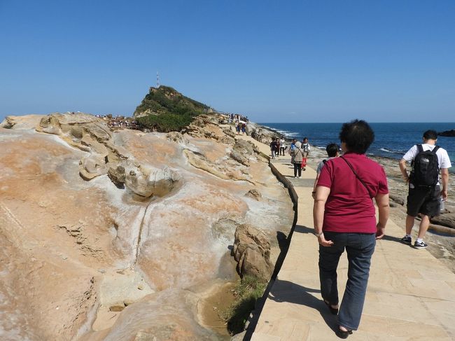 こういう道を歩いていく。暑すぎる…。