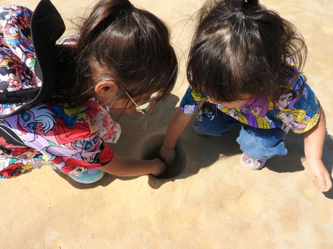 なに？この穴…