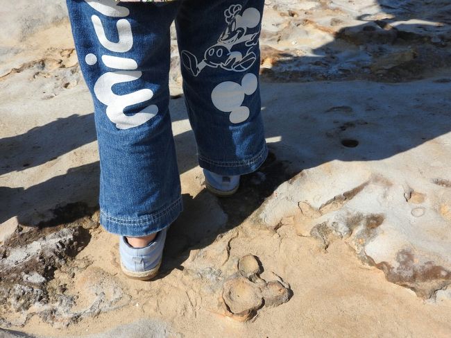 隠れミッキー発見！(私命名)