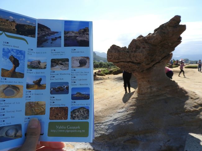 ドラゴン。あ〜、ビールが飲みたい…。