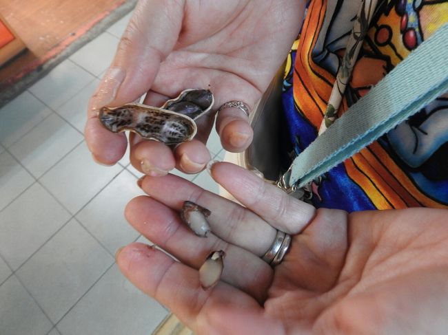 黒南京豆。初めて見ました。