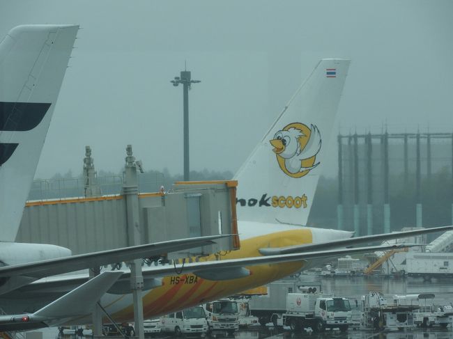 ありがとう、スクート。<br />操縦、すごく安定していました。