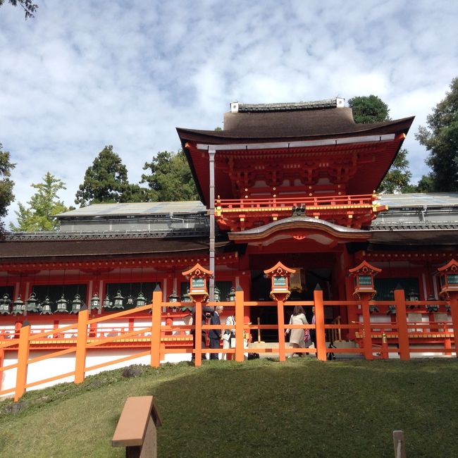 春日大社は今年、式年造替というお社を建て替える節目の年となっています。