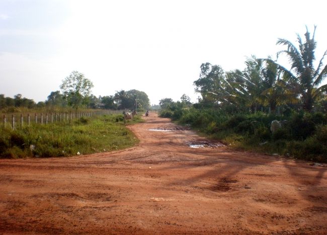 　南に入り込む細い道があった。<br />　まさか地雷が埋まっているわけはないだろう。<br />　盗賊もいそうにない。<br />　まだ昼間だから。　　<br />　目指すは、きっとこの先に違いない。