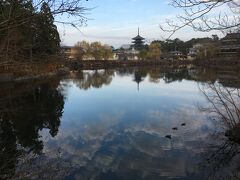 奈良ホテルを出発して大会会場の鴻ノ池陸上競技場に徒歩で向かいます。
途中、荒池と興福寺を眺めます。