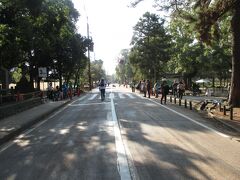 奈良マラソン2015
奈良公園脇を走ります。