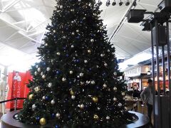 中部国際空港セントレアのクリスマスツリー