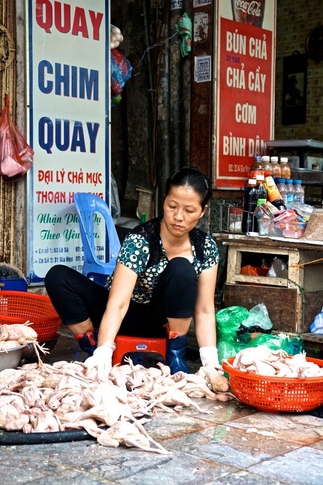 １１月１９日　晴れ<br />今日は１４時２５分の飛行機で日本に帰ります<br />ホテルで朝食を済ませ朝散歩です<br />ホテル近くの店<br />鶏肉を道ばたで洗っています<br /><br />