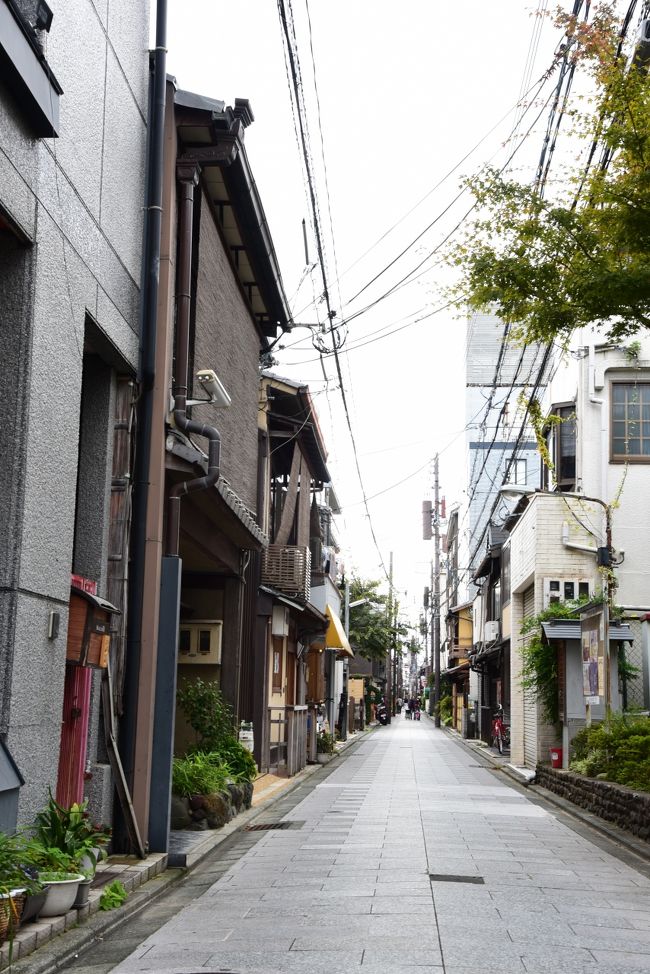 15 京まち散歩 1 2 宮川町 東山 祇園 北白川 京都 の旅行記 ブログ By Naoさん フォートラベル