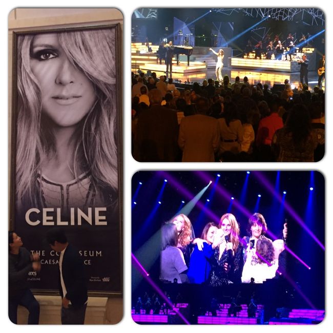 【ラスベガスでのセリーヌ・ディオンコンサート】<br /><br />正直、そんなにファンではなかったのですが、ラスベガスへ行くのなら、世界の歌姫と言われる歌手のライブを聴いてみたいと思い、日本で予約をしておきました。<br />席は第3カテゴリーですがそれでも170ドル、手数料等を含めると195ドルとかなり高額。座席は前から30番目程度でした。<br />11月17日の当日、広いシーザーズパレスをウロウロしながら、会場にたどり着きました。既に、かなりの観客が並んでいますが、ここで、セキュリティチェック。ゲートを潜る本格的なものでした。ホールは4000席だそうですが、セリーヌが日本でコンサートをやるときはドーム球場クラスですので、それに比べればかなりかなりコンパクトです。席は、肉眼で表情も何とか確認できるレベルで満足です。<br />コンサートの印象を一言でいうと、素晴らしく良かったです。今まで色んなコンサートを見ましたが、その中でも最高クラスです。その最大の理由は圧倒的な歌のうまさです。やはり、世界の歌姫と言われるだけあって、その歌唱力には圧倒されました。次に、セリーヌの家族や観客を大切にする気持ちが伝わってきたということです。特に、ショーの後半、暗闇の中から観客席に急に現れて、歌を歌いながら、観客と握手したり（ここまでは日本でも良くありますが）だけではなく、一緒に写真を撮らせたり、抱き合ったり、声を掛けたり、その素晴らしいパフォーマンスに感動しました。ファンにとっては、憧れのセリーヌが隣に居て、写真を撮ってくれるのですから夢のような時間だったと思います。ただ、そこは、アメリカ人らしいと思うのですが、観客も整然としていて、日本のように多くの観客が駆けつけて揉みくちゃになったりすることなく、マナーの良さを感じました。<br />ショーは1時間40分程度でしたが、大変満足の行くもので、すっかりセリーヌのファンになり、帰ってからもセリーヌの歌を聴き続けています。ラスベガスでのコンサートがある内にもう一回見に行こうと思うほどです。しかも、次はもっと良い席で。<br />もし、ラスベガスに行かれることがあって、洋楽の好きな方は是非コンサートをご覧になることを強くお勧めします。<br /><br />