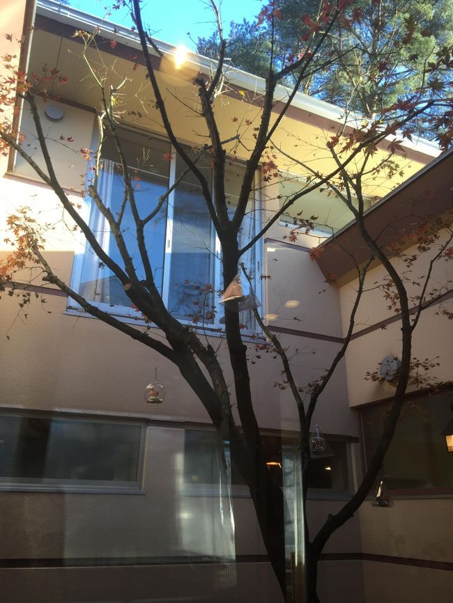 最後の紅葉が若干残っていました。いつもこの中庭に癒やされ♪