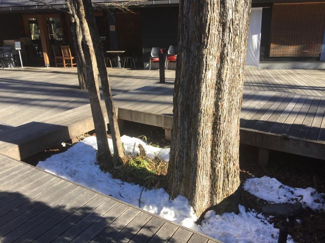 雪が残っていました。