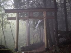 8：50　神社の中を探索します。雨は本降りです。
「たぶんここだろう」という場所を探ると、ありました！山を登る小道。
その先に鳥居が現れました。