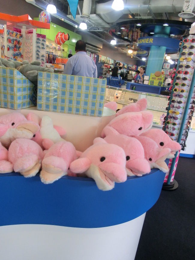 ぬいぐるみの方が可愛い、ピンクイルカ。