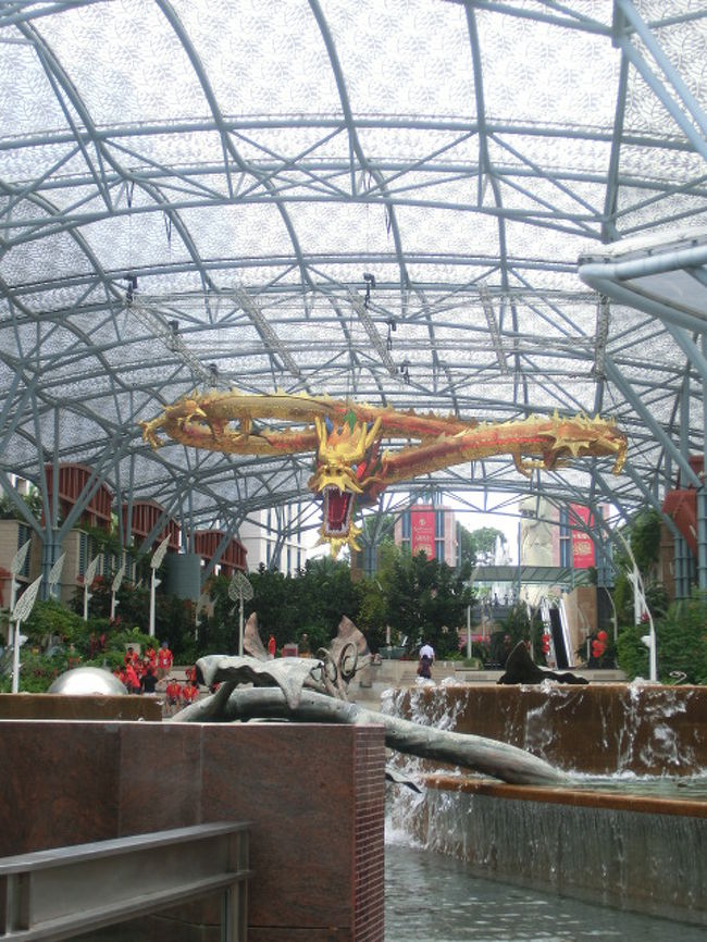 旧正月前だったからか、金のドラゴンが。