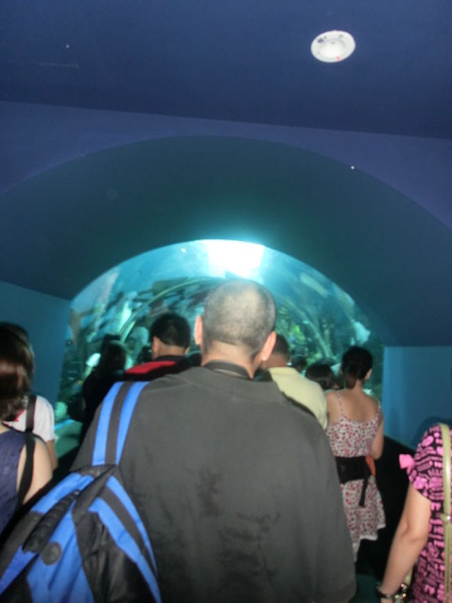 人すごいです。はぐれないように。