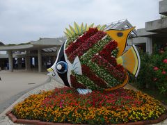 沖縄美ら海水族館