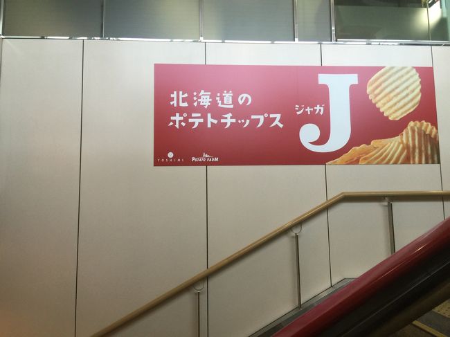北海道のポテトチップスJ