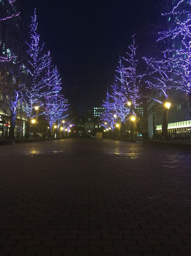 札幌到着<br /><br />北海道庁近くのイルミネーション。<br /><br />色が変わるごとに見惚れちゃう