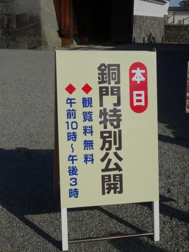 特別公開なら観てみましょう♪