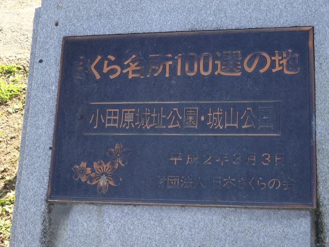 さくら名所１００選の地に選ばれているみたい