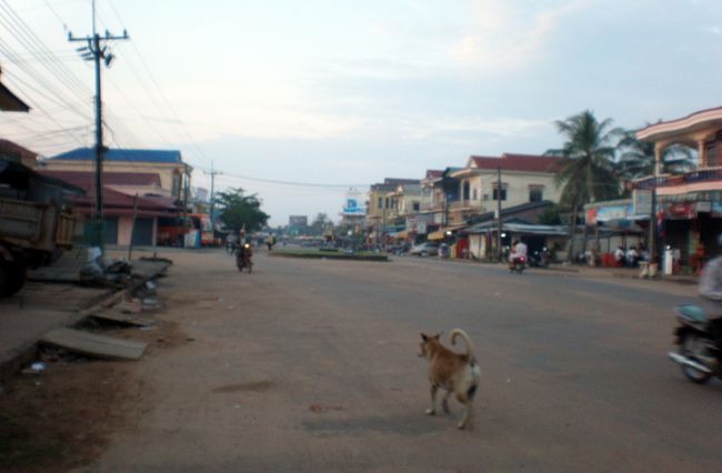 　５時に目覚めてしまった。<br />　寝たのが９時だから、８時間眠ったことになる。<br />　早寝早起き、これがカンボジアスタイル。<br />　明るくなるのを待って散歩に出ると、町はもう動き始めていた。<br />　バイクの兄ちゃんが野菜袋を持って走り、犬も食い物を探して散歩している。
