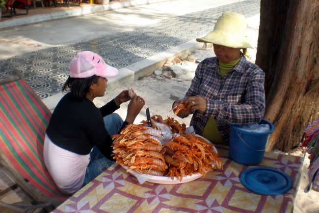 　大きなシャコが売られていた。<br />　寿司に乗っているシャコは知っているが、頭から尻尾まであるシャコは初めて見る。<br />　どっちが頭？<br />　どっちが尻尾？<br />　２人に笑われた。