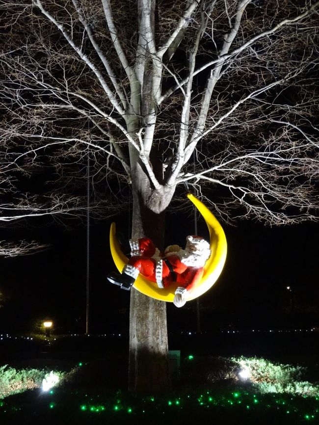 サンタさんも、良い夢みてね♪<br />おやすみなさい