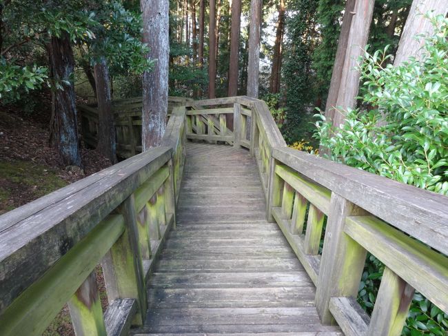 木の階段を降ります