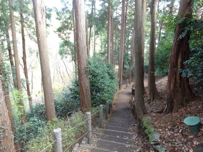 並木道をどんどん進み