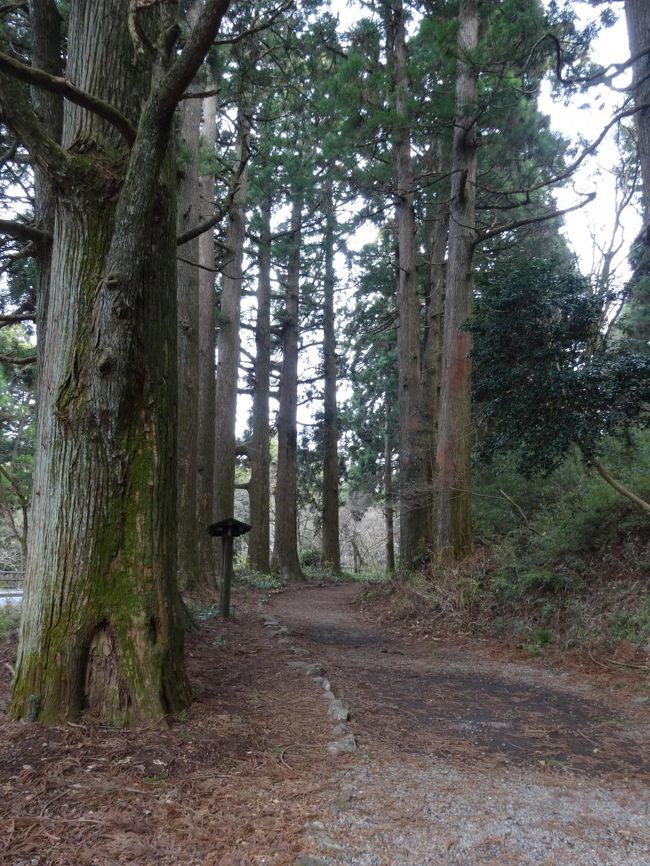 今も昔も変わらぬ風景なんでしょうね、きっと