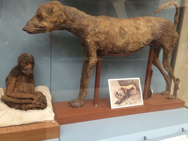エジプト考古学博物館 館内写真２ カイロ エジプト の旅行記 ブログ By スカイバードトラベル 旧 日通ペリカントラベルネット エジプト 店 さん フォートラベル