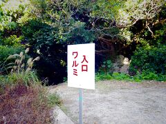 備瀬まで来たので、２人とも行ったことのない
パワースポット   聖域と呼ばれている「ワルミ」へ行こうと！となりましたが
何せ下調べもしていないノープラン　地元の方に聞いても場所がわからない..
ririkoさんのスマホのナビを頼りに迷いに迷ってやっと辿り着きました。